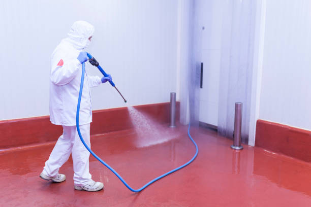 Pre-Holiday Cleaning in Germantown, IL
